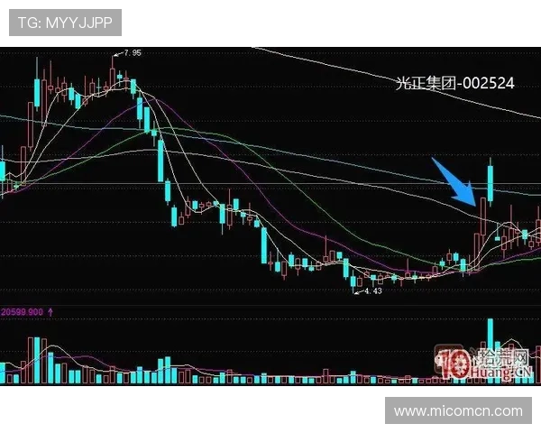 南京排球队与重庆排球队赛后复盘分析意识与战术的深度探讨