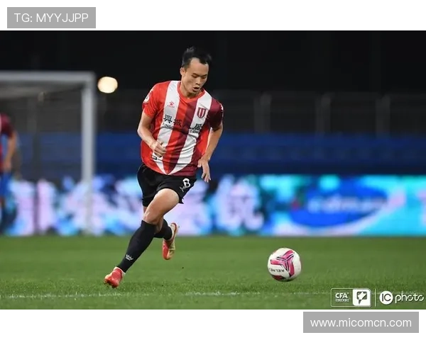 北京排球队以87分领跑精英赛积分榜展现强劲实力